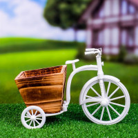      Home & Garden, 26 12 18 , , , 