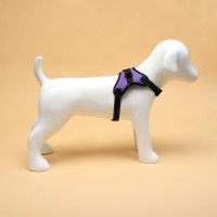  7  ,  S,  44-55 ,  5-9 , 