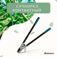  , 31 (79 ),  ,   , , Greengo
