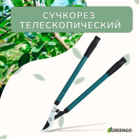  , 22.533 (5784 ), ,   , Greengo