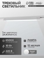   Luazon Lighting, 30 , 2700 , 6500,  450 , ,   