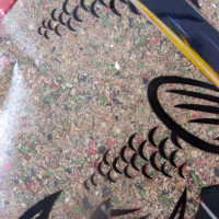  Yaman Active Bite - Big Fish, . , 900 