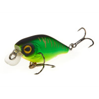  . Lj Original Chubby F, 4 ,  009