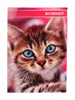 ������� �6, 40 ������ � ������ �� ������� ������� � ������, ������� ���������� ������, ����