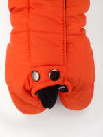  , , Xl ( 38,  37,  48 ,  12-15 ), 