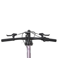  20 Maxiscoo 5bike,   ,  L