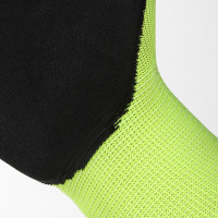 �������� ����������, ���������, ���� ����