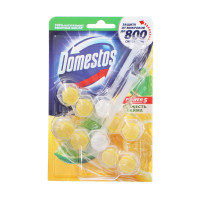     Domestos Power 5  , 2   55 