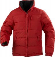   Freeride, 