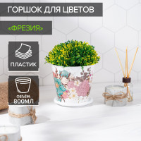 ������ ��� ������ ������ ��������, 800 ��, ���� �����