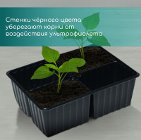   , 4   180 , , , 18   13   6 ,  10 ., Greengo