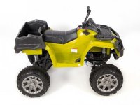  Grizzly Next  Barty 009 44 ( )