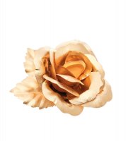 Ga-br-s ����� �����