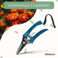  , 7 (18 ),   ,  , Greengo