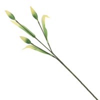 ������ �������������, L60 W18 H113 ��