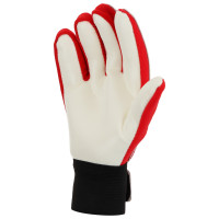   Onlytop, . 5,  