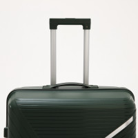   100  (l),   ,  , 4 ,  