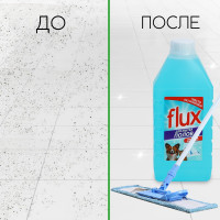        , 1000 , Flux