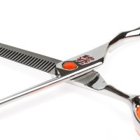   Orange  6 Tayo Tq6640s