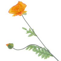 ������ ������������� ���, L17 W9 H73 ��