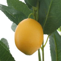   , L30 W20 H42 