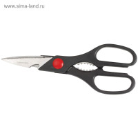   Regent Inox Forte,  200x1.8 