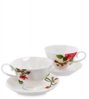 Js-08    2 .   (pavone)