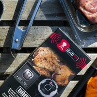   Weber Igrill Mini  