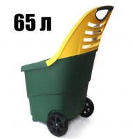   / 65 