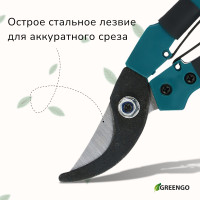  , 7 (18 ),   , Greengo