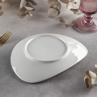 ����� ������������ ����������� ����������, 22x18 ��, ���� ���������