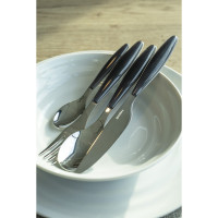    Guzzini Cutlery Feeling, 24 ,  