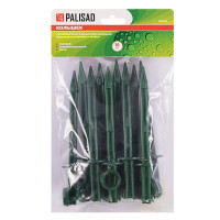  20 ,     , 10   ,  Palisad
