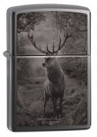  Zippo Classic   Black Ice, /, , 