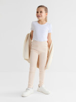      Collorista,  ,  104 
