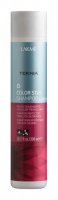 Color Stay Shampoo (300 )