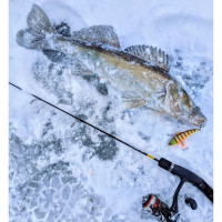 ������ ������� ������������ Lj Pro Series Basara Vib S, 8 ��, ���� 146