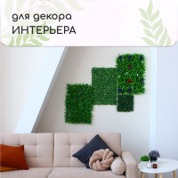  , 60 40 ,  , Greengo