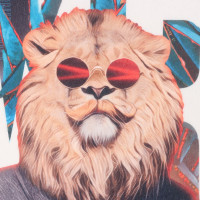    Mr.Lion,  , , 