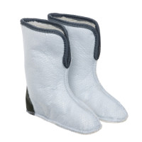       Ice Land  543-, -60,  36-37,  