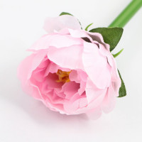 ����� ���������, ����������, �������, ����� �����, ������� ���� 1 �� �� ���� ��������