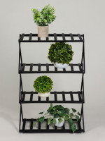    Greengo, 4 , 50 25 68 , , , 