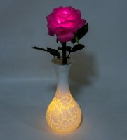 Lp-11     Led-