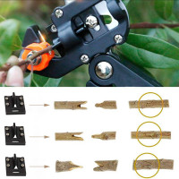  , 12 (30.5 ), 2 ,   , Greengo