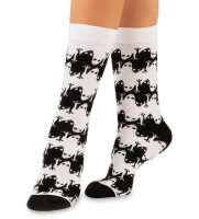   Asha-0002 Amphibius 1 40-43 (artsocks)