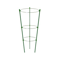 , D=151719 , H=44 , 3 , , , Greengo