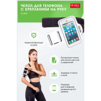    Bradex    , 14080 