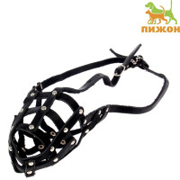      3, , (   11 ,   30 )