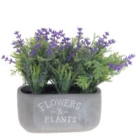 ��������� ����������,  L21 W8 H18 ��, 2�.