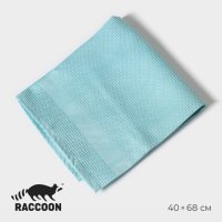     Raccoon, 40x68 ,  